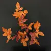 Flores artificiales vintage estilo wabi-sabi, ramos falsos estilo pastoral, hojas de otoño, flores secas, decoraciones de jarrón para el hogar, sala de estar y comedor