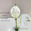 Flor de Simulación Verde Decoración Auditorio de Bodas Material de Flores para Bodas Flor Exterior Planta Verde Belleza Chen Arreglo Sanwei Kwai Mori Ceremonial de Bodas