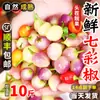 Pimentas Coloridas de Guangxi Pimentas Frescas 4,5 kg Especialidade Pimentas Coloridas em Conserva Pimenta em Flocos Legumes Caixa Fechada 5 Frete Grátis