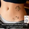 Transfronterizo Gatito Peculiar Espíritu Nicho Chica Popular Larga Duración Jugo Herbal Pegatinas de Tatuaje No Reflectantes Tatuaje Realista Nuevo Estilo