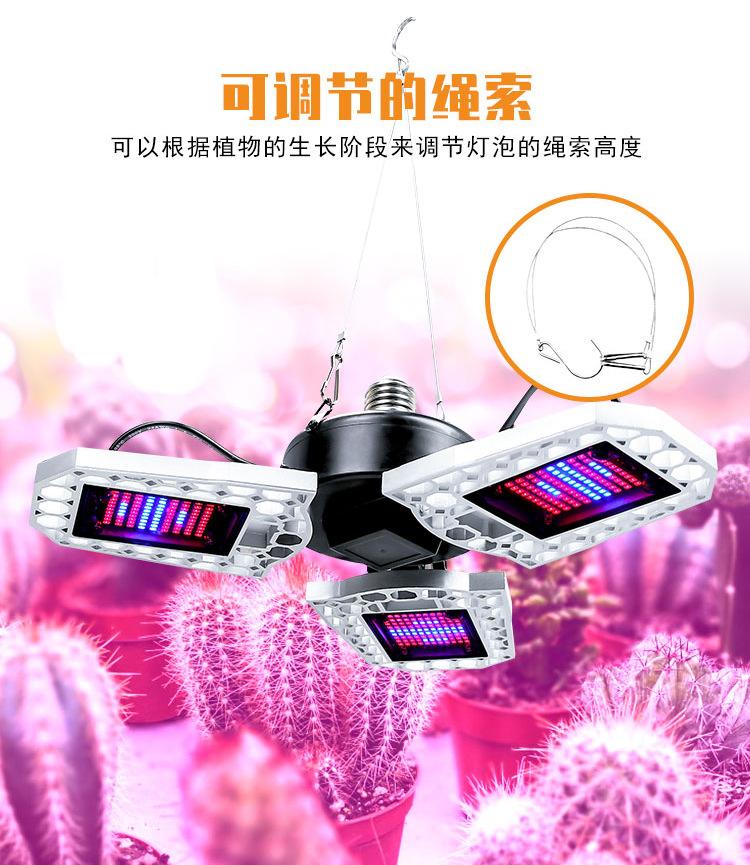 全光谱-植物灯-(阿里巴巴)(红蓝光)详情页_10.jpg