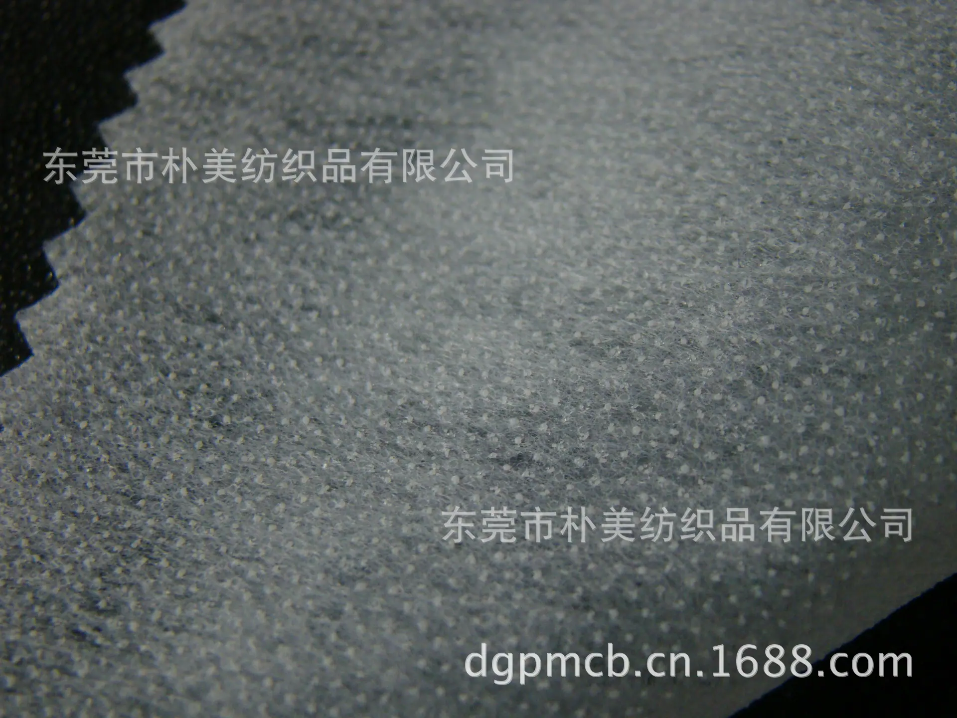 DSC06224