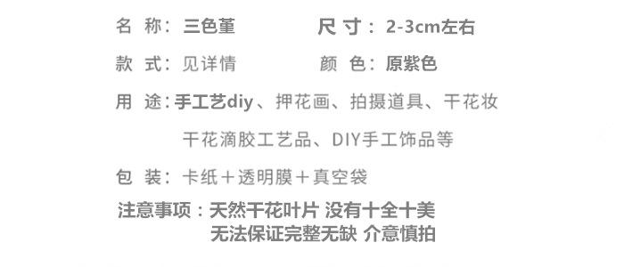 三色堇.png
