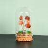 Cristal natural original con cubierta de vidrio, micropaisaje, árbol de cristal, regalo científico popular para niños, adornos de decoración para el hogar.