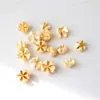 Materiais de Flores Secas Galhos Bolotas Pinhas Algodão Vagens de Lótus Jardim de Infância Artesanato Velas Aromáticas Fatias Decoração Adereços para Fotos