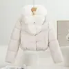 Moda de Invierno 2026 Versátil y Elegante Abrigo de Algodón, Chaqueta Acolchada Cálida y Elegante Sencilla, Chaqueta de Algodón Moderna para Mujer
