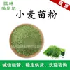 Suministro en Stock: Polvo de Hierba de Trigo, Polvo de Jugo de Hierba de Trigo, Polvo Verde Soluble en Agua, Suministrado por Fábrica de Extractos de Plantas