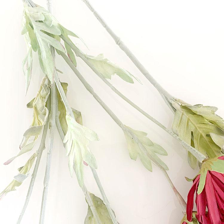 IMG_8038(20220721-111157)