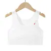 Venda Quente Douyin Roupa Íntima de Verão para Meninas em Fase de Desenvolvimento Respirável Fina Seda de Gelo Infantil Estudante Menina Sem Costura Adolescente