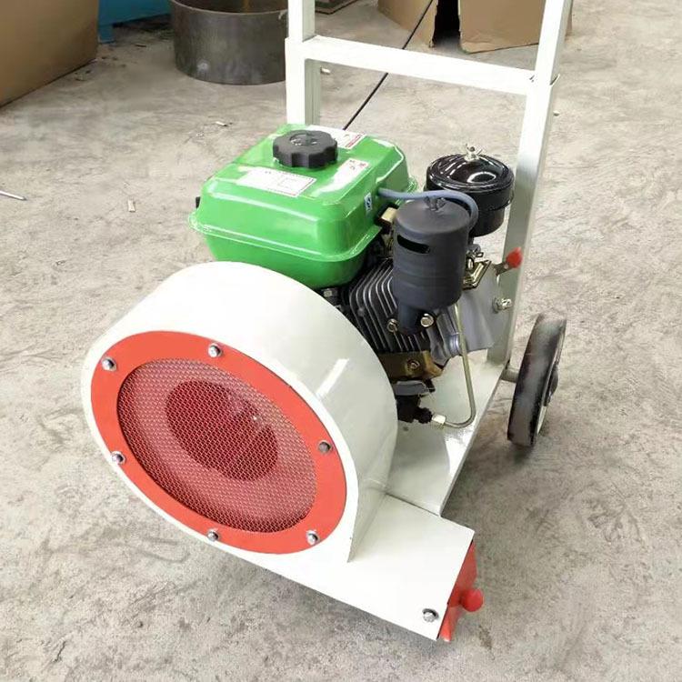 马路吹风机2021.10.18 (4)