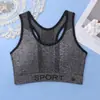 Amazon Comércio Exterior Transfronteiriço Sutiã Esportivo Top Tubo Fitness Corrida Roupa Íntima Feminina Costas Nadador Colete Yoga