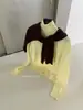 Suéter de Color Puro con Cuello Alto Estilo Coreano Otoño e Invierno para Mujer 2025 Guangzhou 13 Líneas Nuevo Normcore Camisa Básica Casual 50332