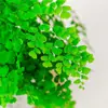 Samambaia de Ferro Plantas Hidropônicas Purificam o Ar, Samambaias Resistentes à Sombra Cultivadas na Água, Flores de Folhagem Fáceis de Cultivar em Ambientes Internos Qinqiao