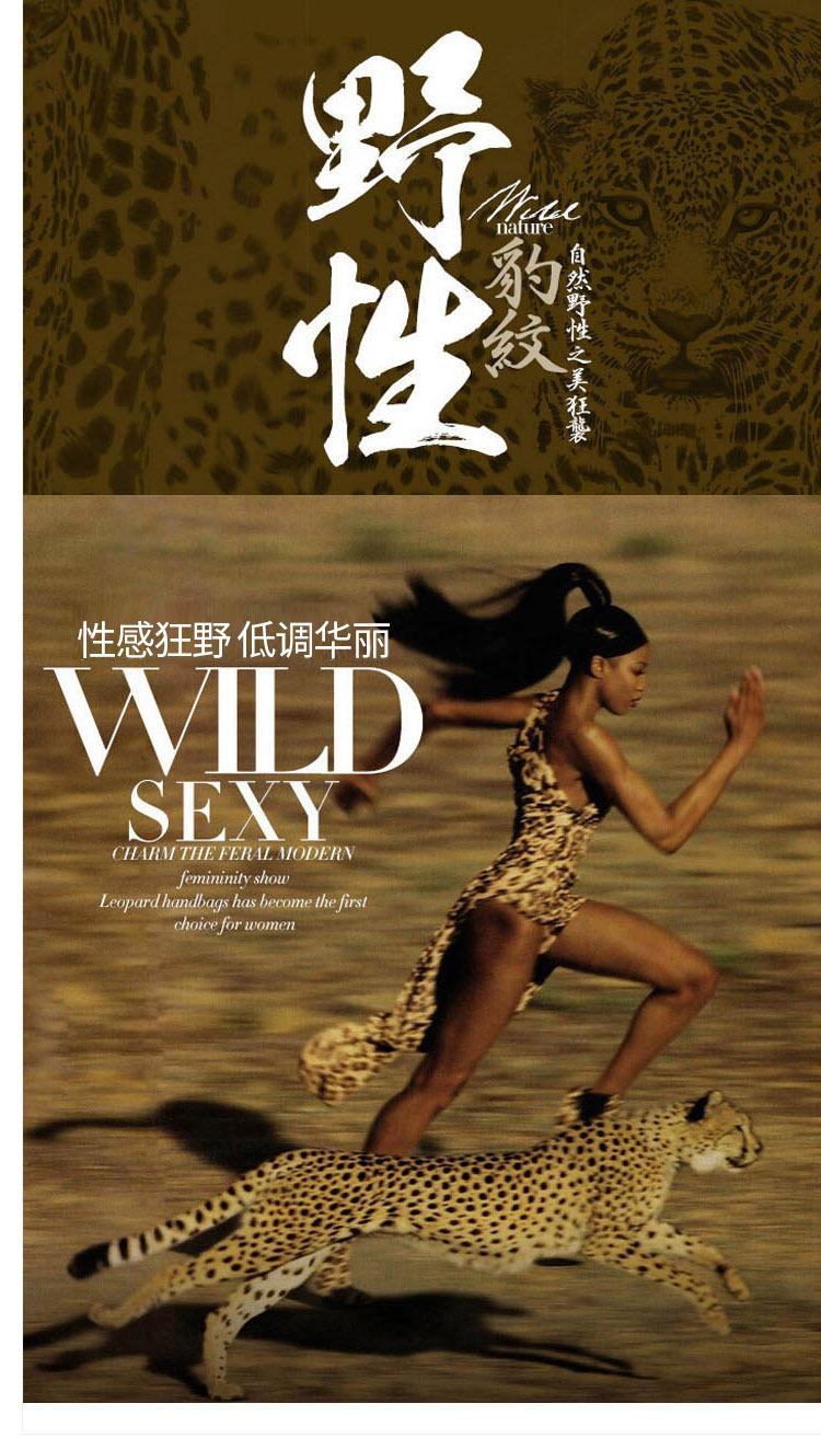 豹纹海报图