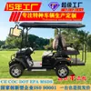 Carros de Golf Eléctricos de Exportación para Comercio Exterior, Transportes Turísticos de 4 Plazas para Zonas Turísticas, Carros de Golf de Combustión
