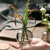 Jarrón pequeño nórdico simple y creativo con diseño de viento, con flores hidropónicas de cristal, ideal para decorar el escritorio de la sala de estar y los pequeños adornos.