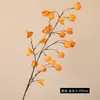 Nuevo Modelo de Fruta Linterna Simulada, Ramo de Hogar de Alta Calidad, Decoración Suave, Adornos de Flores Artificiales, Accesorios para Fotografía