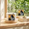 Logo personalizado adornos de vidrio Zibo macetas de cerámica personalizadas personalizadas artesanías de plantas en maceta de vidrio hechas a mano decoración