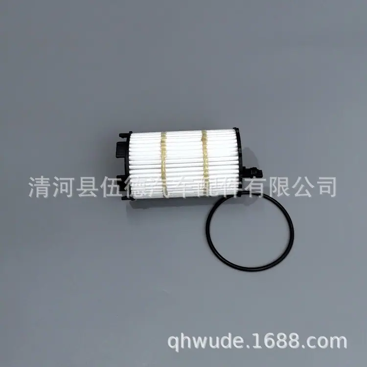 079115561 F-Y (19)