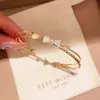Pulsera Abierta de Mariposa de Doble Capa de Circonita Super Brillante, Joyería Fina Versátil para Mujer de Gama Alta de Nicho de Lujo Ligero Vintage Exquisita