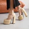 Talla 33-43 talla 2022 Primavera y Otoño Nuevos tacones gruesos Zapatos de tacón alto impermeables para mujer Zapatos de boda europeos y americanos