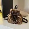 Mochila pequeña peluda transfronteriza para mujer, nueva colección otoño/invierno 2026, diseño de nicho, bolso de felpa, estilo estudiante, casual y moderno