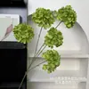 Simulación 5 Cabezas Hortensia Ceremonia de Boda Decoración Salón de Bodas Paisajismo Materiales Florales Adorno Decoración Sala de Estar Hortensia