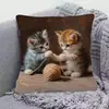 Funda de almohada para sofá transfronteriza, felpa corta agradable a la piel, funda de almohada de gato animal lindo, funda de cojín para sala de estar, no incluye relleno