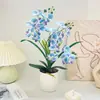 Nova Flor Artificial Phalaenopsis em Vaso Decoração para Casa e Escritório Pequeno Bonsai Arranjo para Fotografia Flores Artificiais e Enfeites de Plantas Verdes