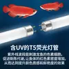 Lâmpada Especial T5 Cor Dragão Vermelho para Aquários, Lâmpada de Iluminação para Peixe Papagaio Sangrento, Iluminação Tri-Color para Aquário