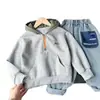 Sudadera con capucha de manga larga para niños y niñas, nueva colección Otoño e Invierno 2026, venta al por mayor