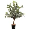 Árbol de Simulación Árbol del Dinero Bonsái Árbol Falso Bonsái Árbol de la Suerte Planta de Simulación Decoración de Interiores Planta Verde Fábrica Outlet