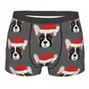 Dropshipping com Fotos Pode Ser Transformado em Cueca Boxer Masculina Elástica Confortável Respirável Estampada com Gato 3D para Animais de Estimação e Cachorros