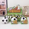 Nueva arena creativa de sacos de arena con alto atractivo estético, divertido saco de arena con forma de balón de fútbol, juguete para aliviar el estrés infantil y artículo decorativo