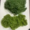 Musgo Artificial, Musgo Simulad, Arranjo de Micro Paisagem, Musgo para Bonsai e Plantas em Vasos, Musgo de Superfície, Plantas Verdes, Musgo Falso