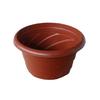 Maceta Redonda de Plástico Flor de Clorofilo Verde Flor de Clorofilo Verde Maceta Flor de Clorofilo Maceta Clorofilo con Gancho para Colgar en Venta