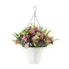 Cesta Suspensa de Flores da Primavera Transfronteiriça Nova da Amazon da Zonghong, Guirlanda, Adereços de Decoração de Vaso de Ferro Floral para Casa