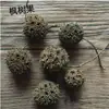 Decoración de Piña Materias Primas Guirnalda Navideña de Vid Frutas Secas Flores Secas Paquete Plantación Hecho a Mano DIY Piñas Creativas Bayas