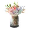 Pequeño ramo de flores de celebridades de Internet para el hogar, sala de estar, decoración nórdica, adornos, ramas secas, arreglos florales, cola de conejo, hierba, flores secas.