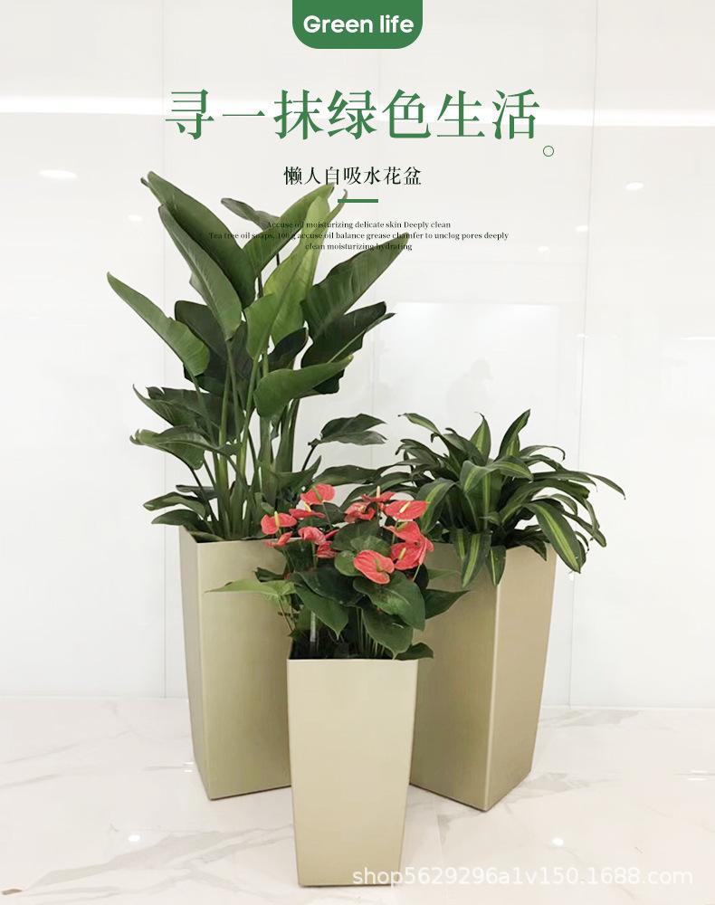 花盆_01.jpg