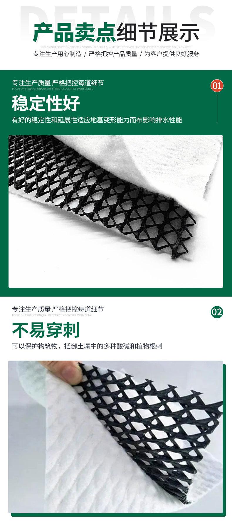 三维复合排水网_03.jpg