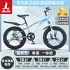 Bicicleta Infantil Phoenix para Meninas de 6-12-15 Anos, Adolescentes, Meninos Mais Velhos, Bicicleta de Montanha com Marchas para Estudantes