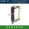 Los fabricantes suministran alto voltaje (H) Fusible de caída cerámico/compuesto RW11-12KV 100A 200A