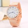 Reloj de Pulsera con Correa de Malla de Acero Reloj Simple con Correa de Malla para Mujer Reloj de Moda con Temperamento para Estudiante WGR230