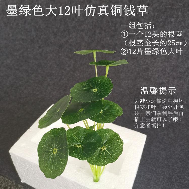 【墨绿色大12叶仿真铜钱草】.jpg