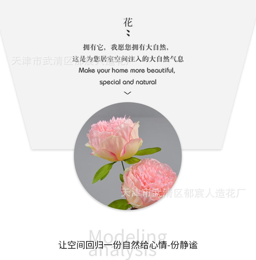 详情_05.jpg