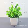 Artificial verde planta bonsai interior desktop paisagem decoração planta pequenos ornamentos eucalipto Lysiana decoração de casa flor