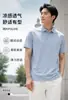 Camisa Polo Transfronteriza de Seda de Hielo para Hombre, Estilo Delgado de Verano, Top de Color Sólido de Negocios con Cuello Camisero, Camiseta Transpirable de Malla de Panal con Manga Corta, Gama Alta