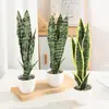 Planta Hypoxis em Vaso com Folhas Altas, Nervuras Prateadas, Pernas Longas, Folhas Verdes, Planta em Vaso Simulada, Sala de Estar Interna, Escritório Fabricante Atacado
