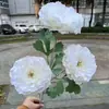 Novo Fabricante de Flores Artificiais para Casamento Rosa e Branco Hortênsia Rosa Guia de Estrada Flor de Mesa Bola de Flores Arco Flores Artificiais Atacado